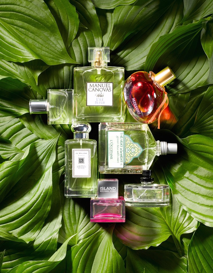 Marissa Gimeno | Fragrance & Product | 48