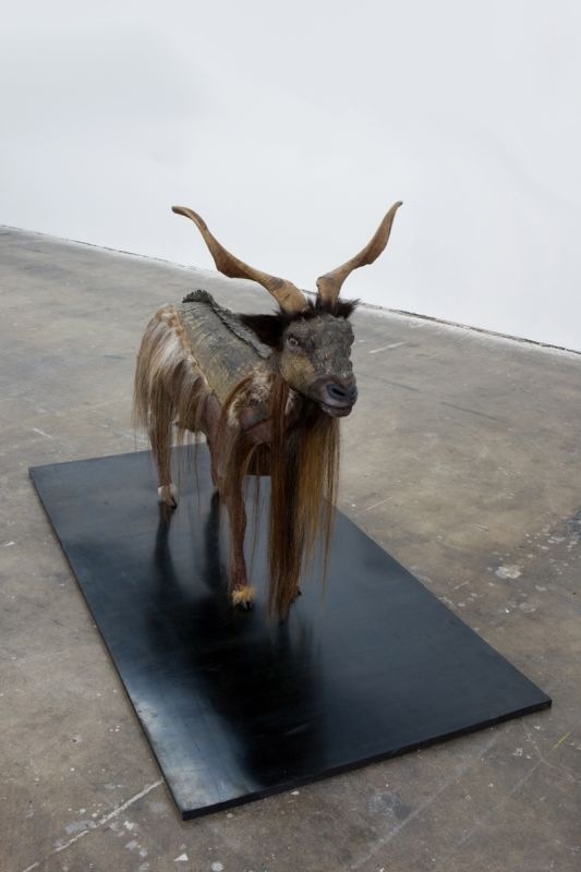  | Selected Works | Glenn Kaino, Graft (Kage No Gundan), 2008, Taxidermy goat, alligator skin, rubber, 96 x 96 x 50 inches, Courtesy of the artist | 12