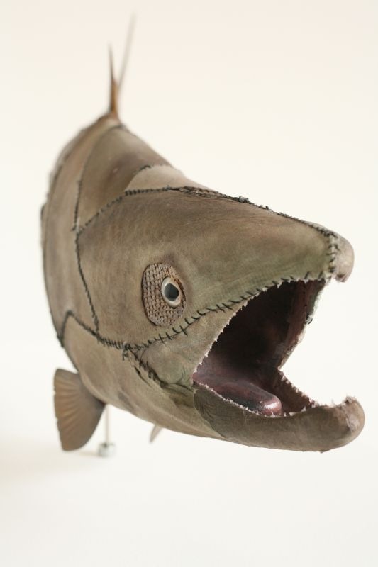  | Selected Works | Glenn Kaino, Graft (Salmon), 2006, Taxidermy salmon, sharkskin, thread, and plastic, 36 x 12 x 4 inches, Courtesy of Private Collection | 14