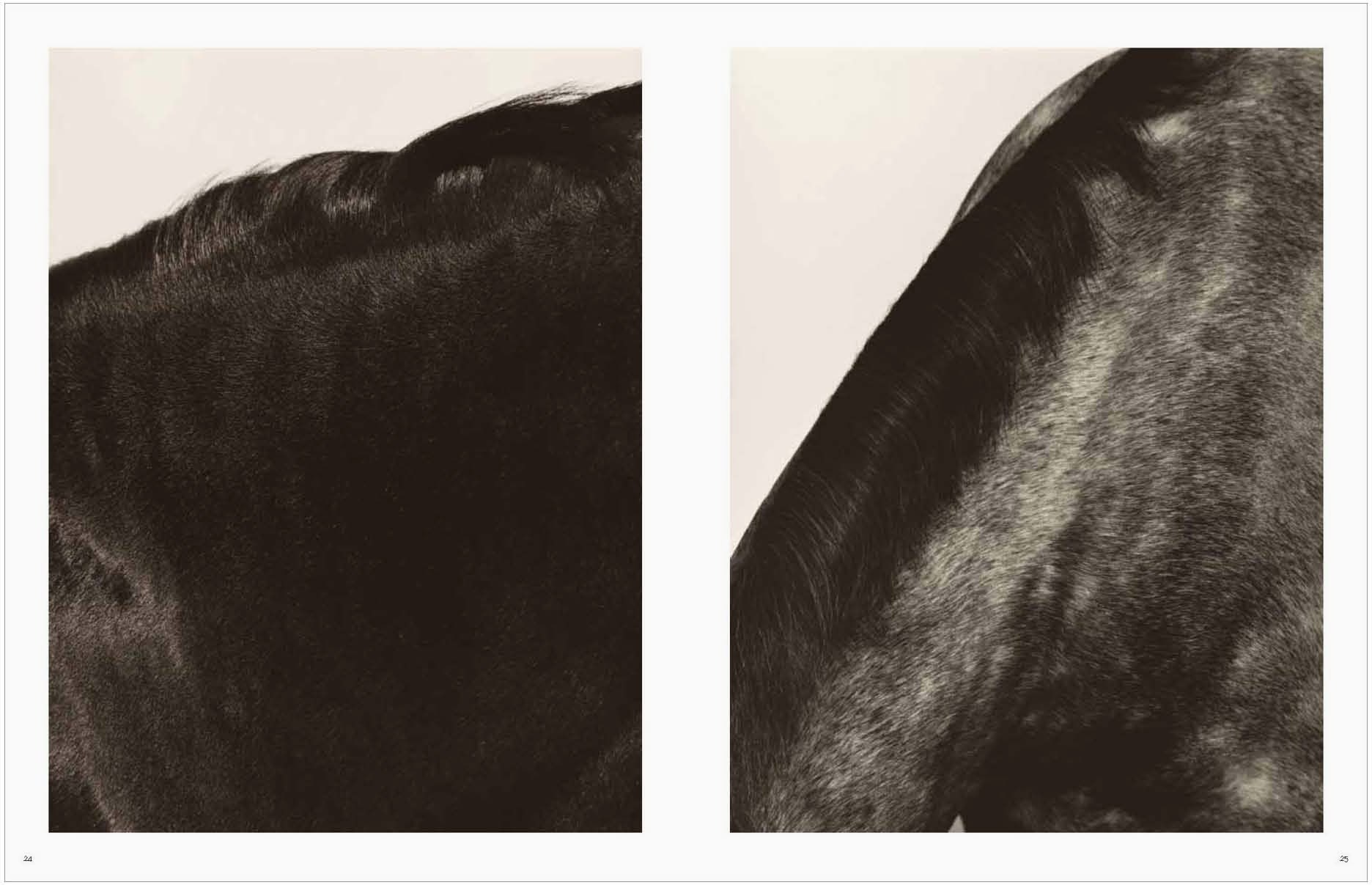 Koto Bolofo | Vol. 1 | Horses | 12