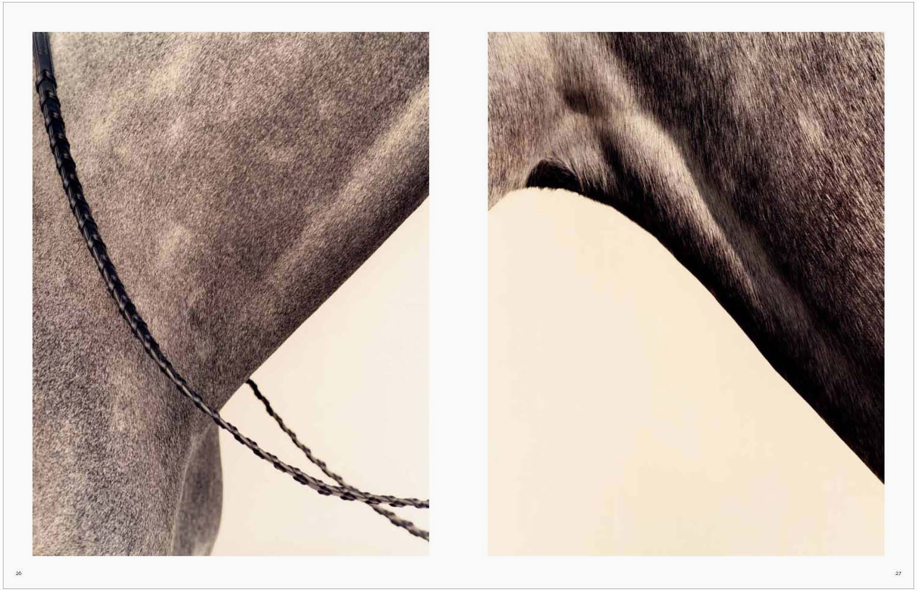 Koto Bolofo | Vol. 1 | Horses | 13