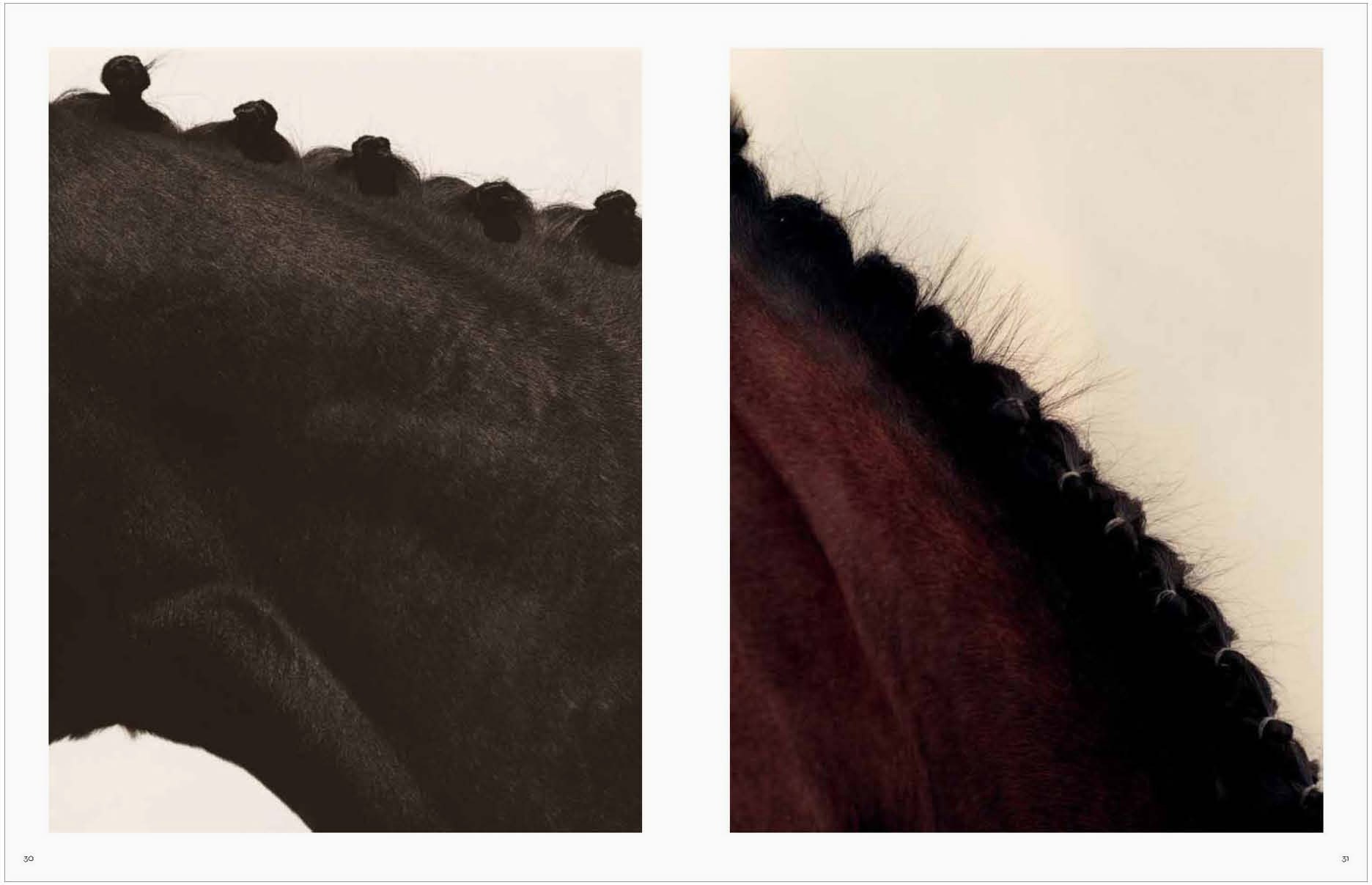 Koto Bolofo | Vol. 1 | Horses | 15