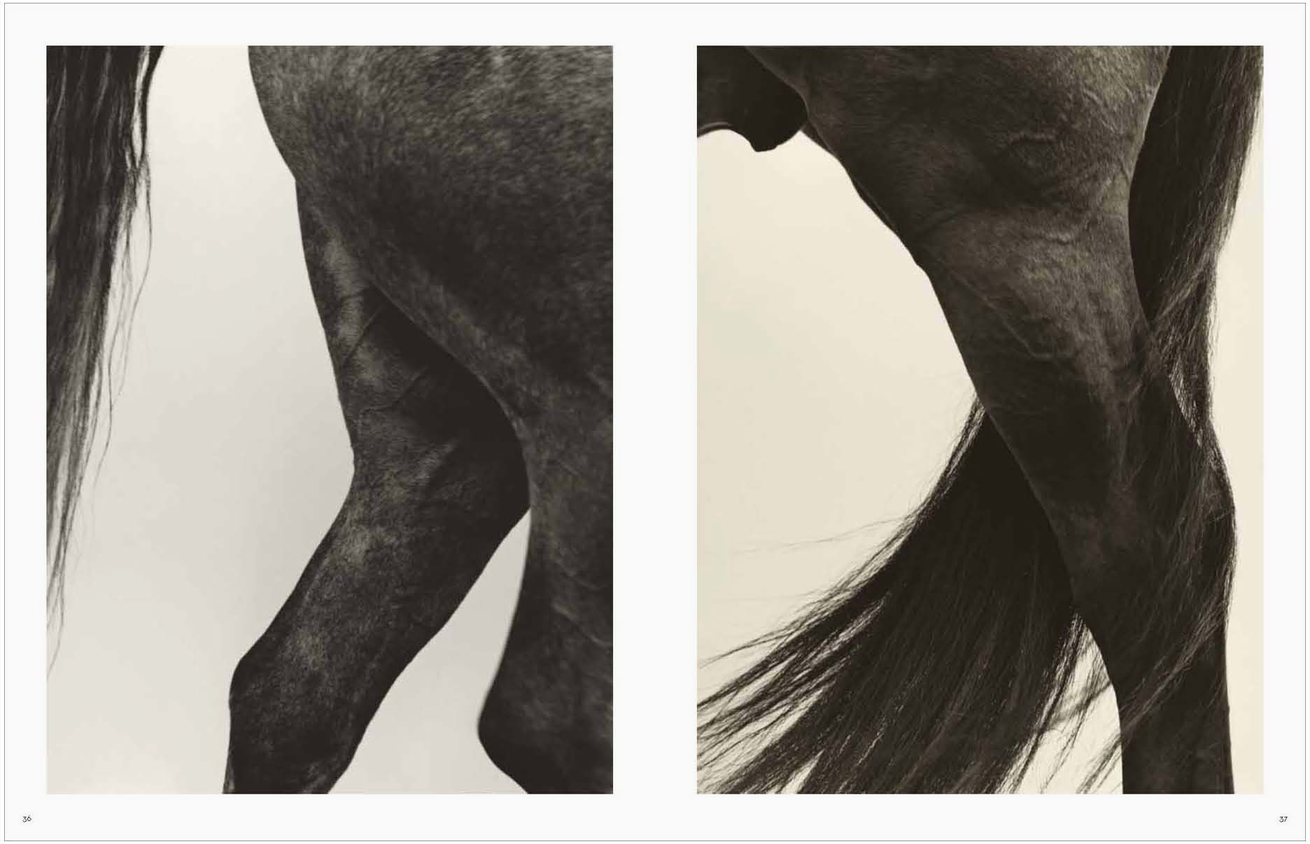 Koto Bolofo | Vol. 1 | Horses | 18