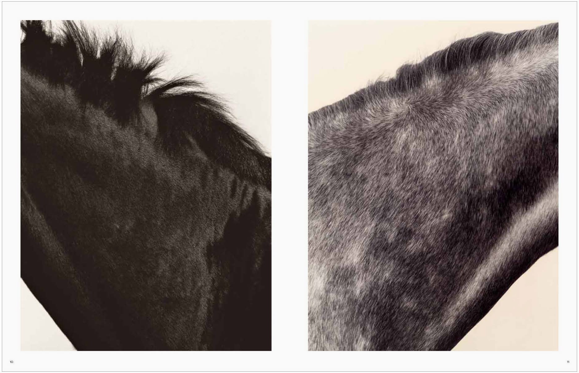 Koto Bolofo | Vol. 1 | Horses | 5