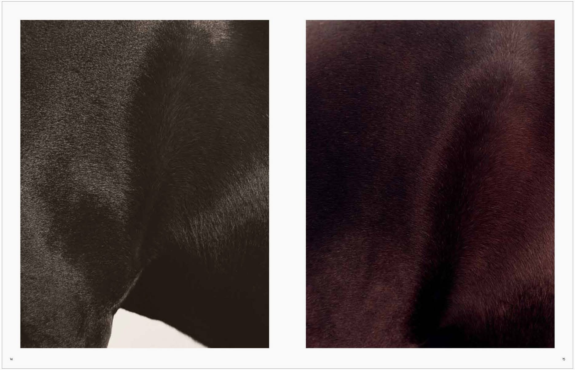 Koto Bolofo | Vol. 1 | Horses | 7