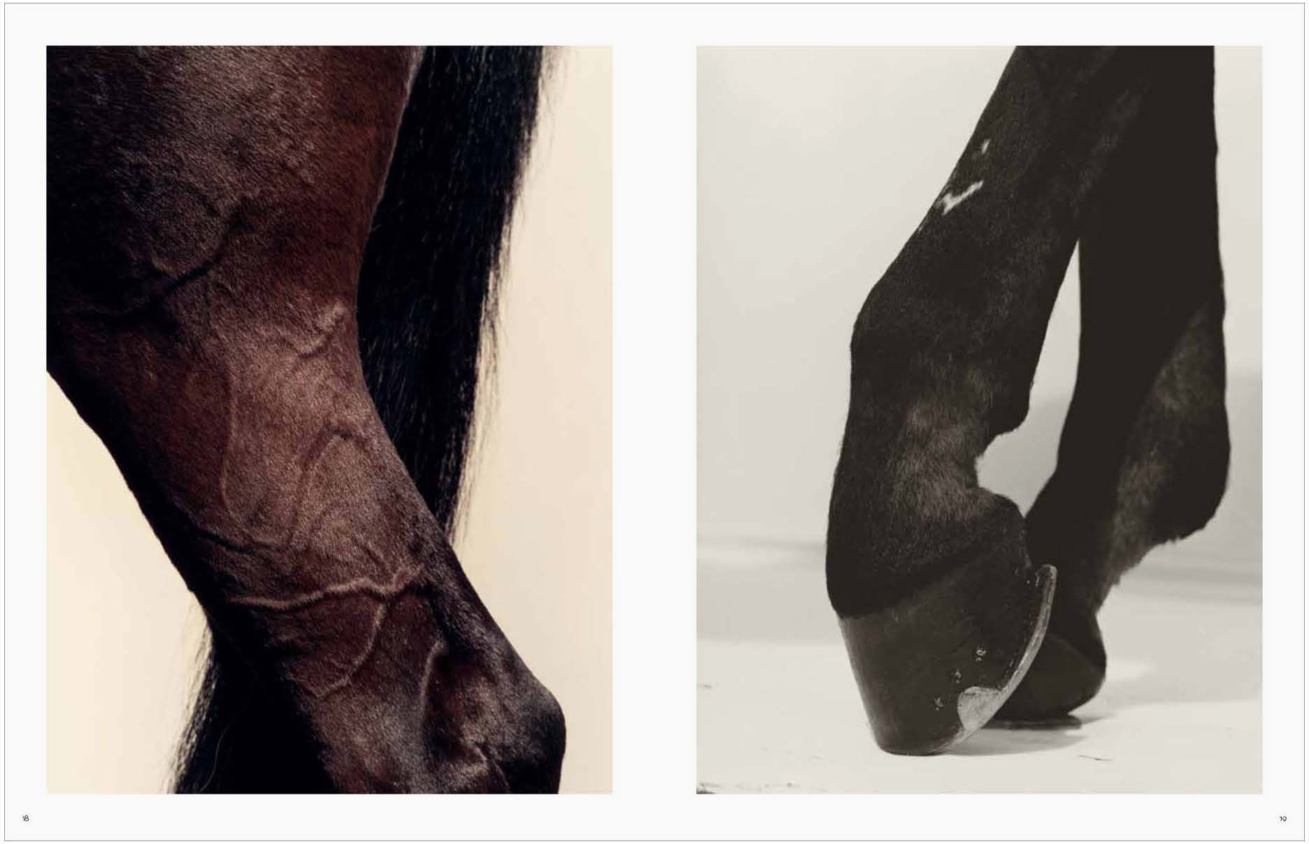 Koto Bolofo | Vol. 1 | Horses | 9