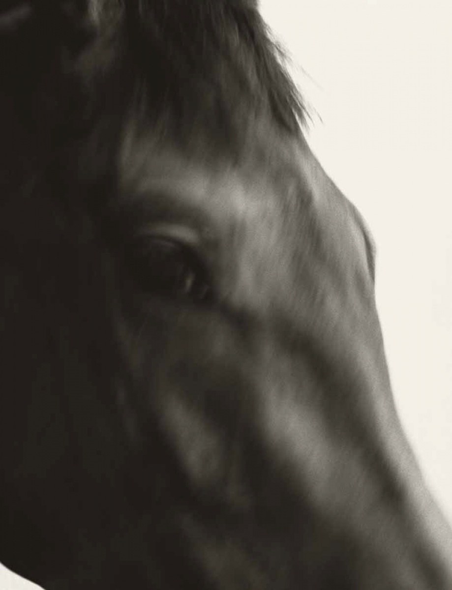 Koto Bolofo | Horse Power | 11