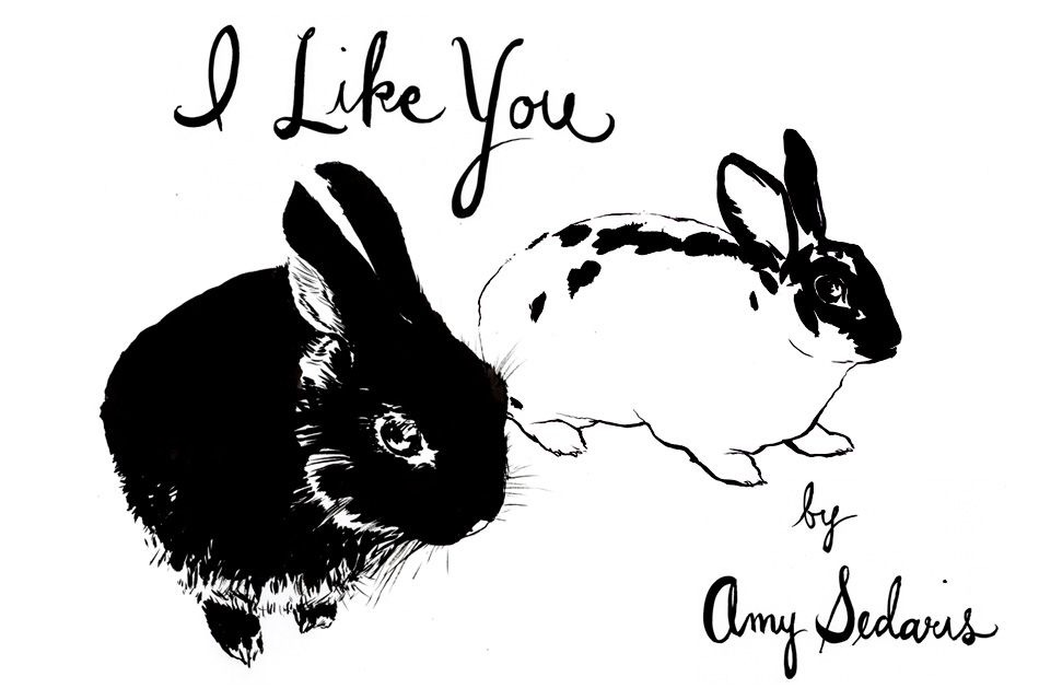  | Commissions | Illustrations for 'I Like You' by Amy Sedaris | 19