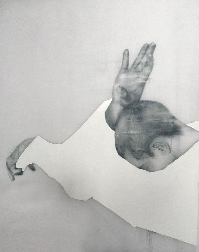 Anthony Goicolea at VOLTA New York | 4