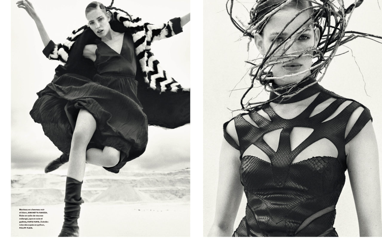 L’aigle Noir by Koto Bolofo | 2