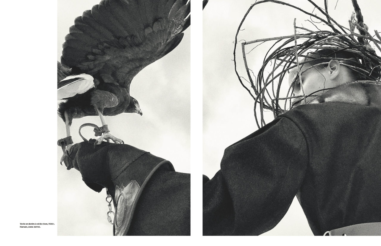 L’aigle Noir by Koto Bolofo | 5
