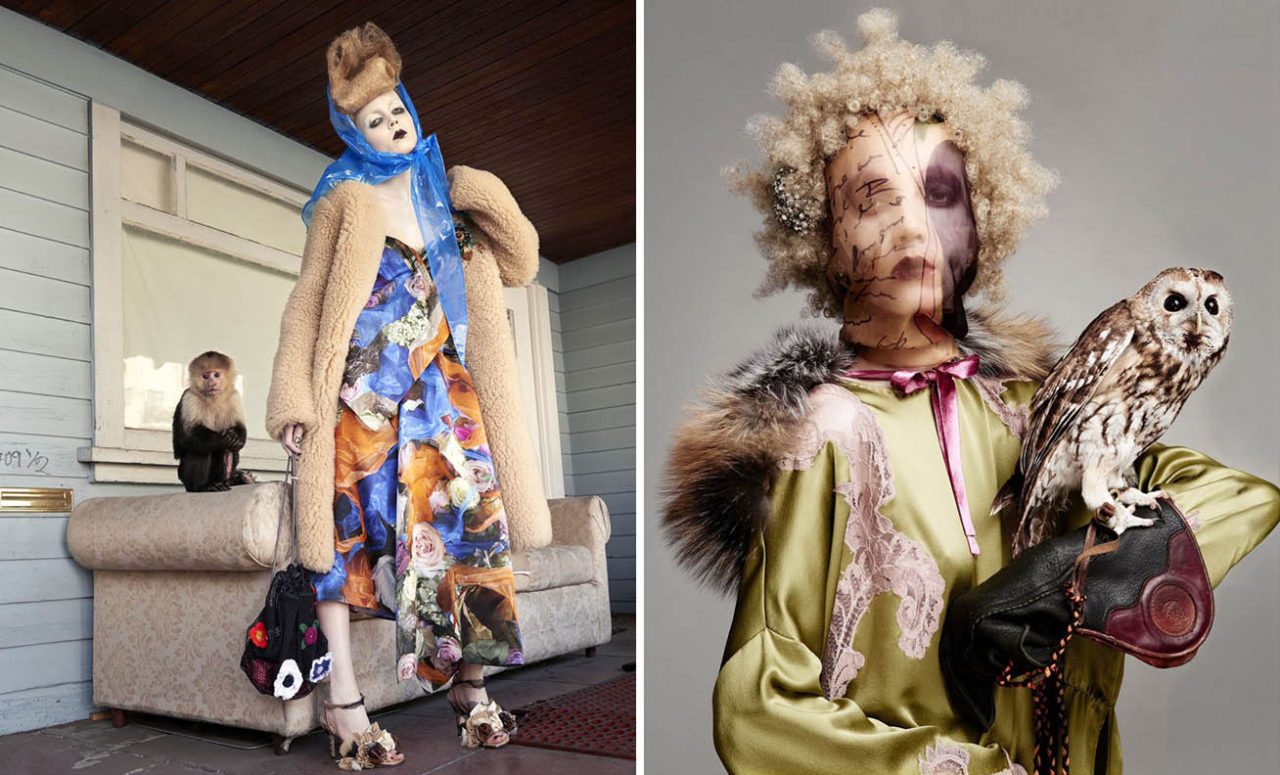 Beautiful Creatures by Fran&ccedil;ois Nars | 8