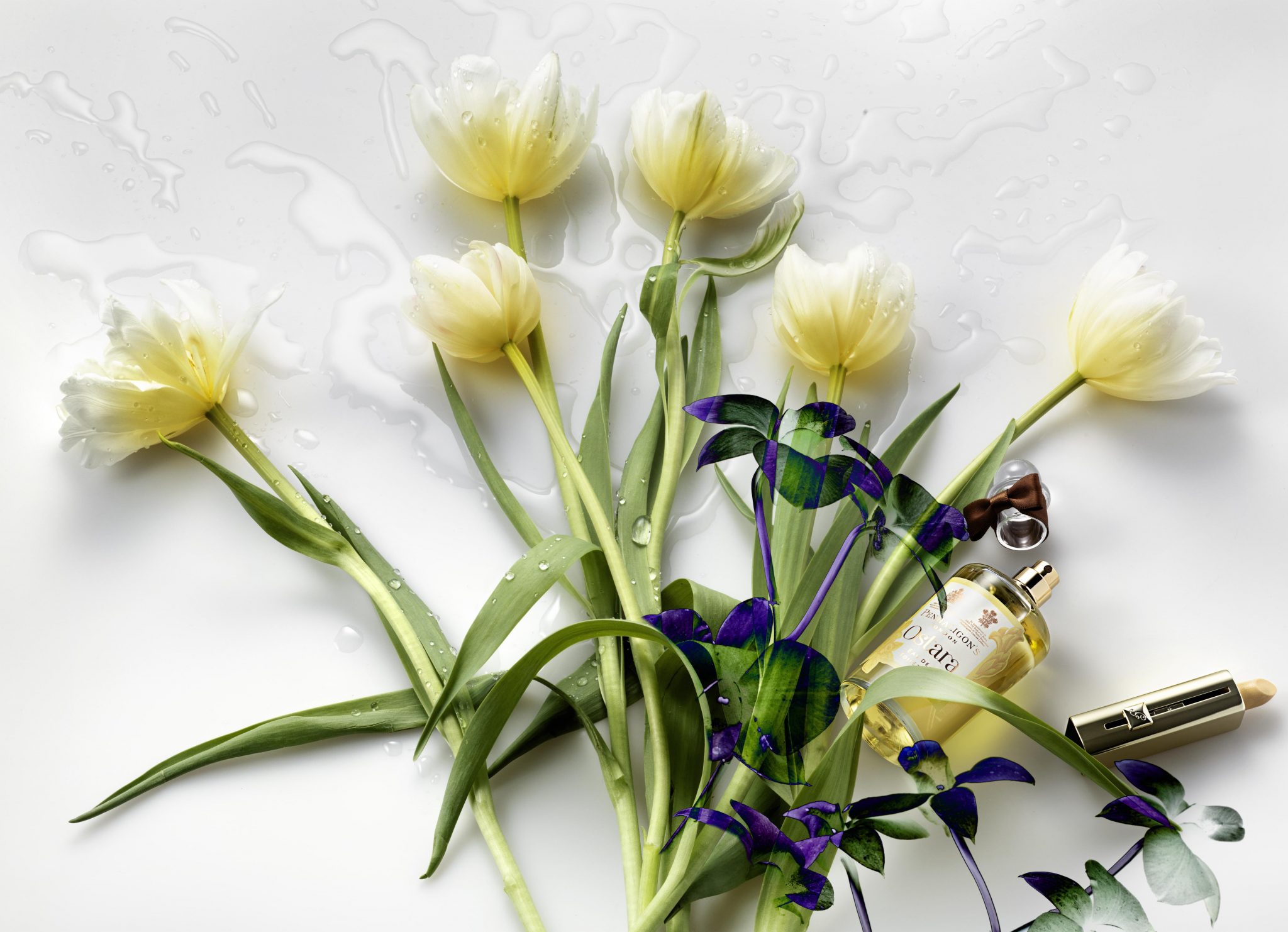  | Amica: Yellow Flowers | 1