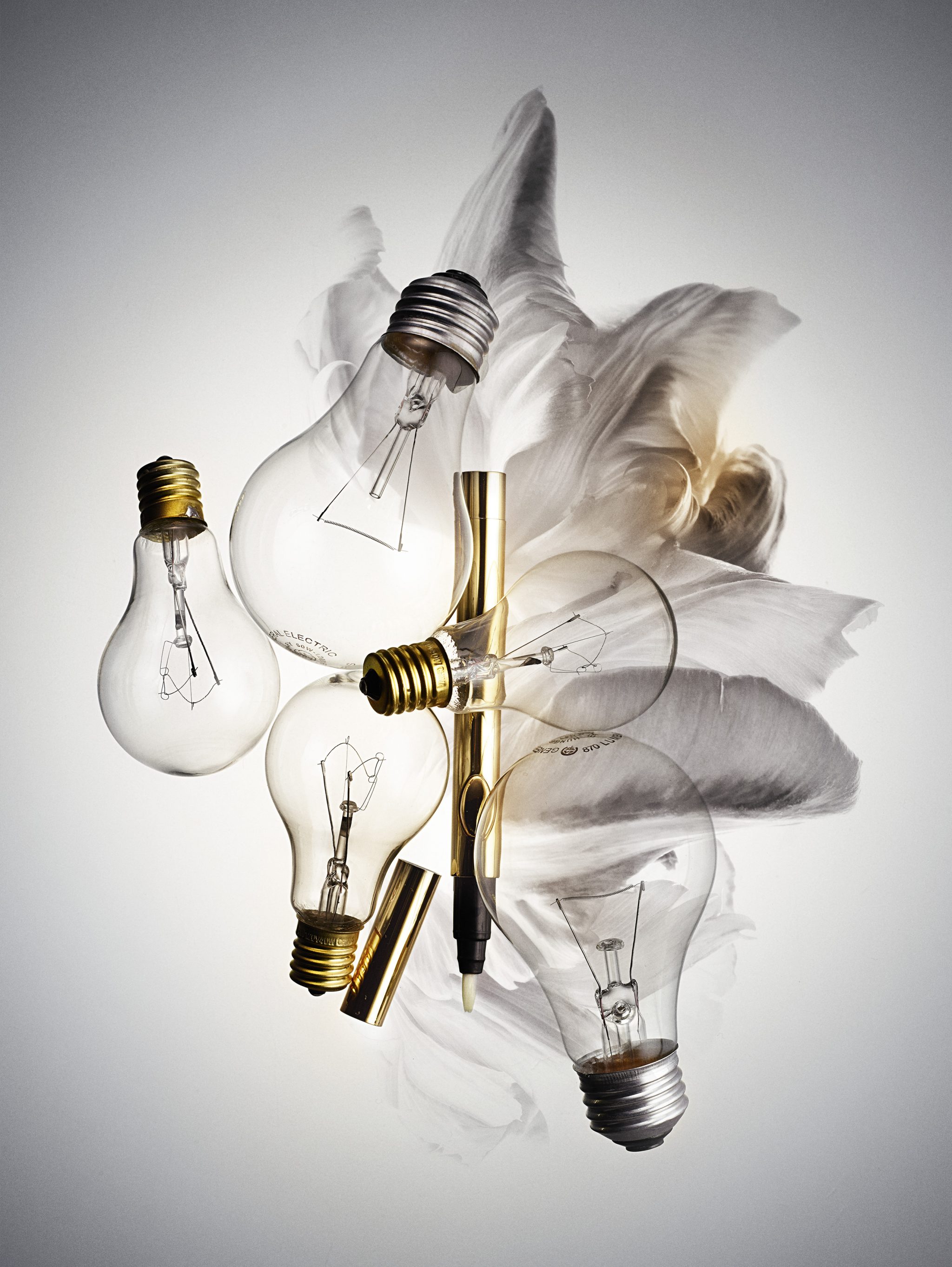  | Amica: Light Bulbs | 3