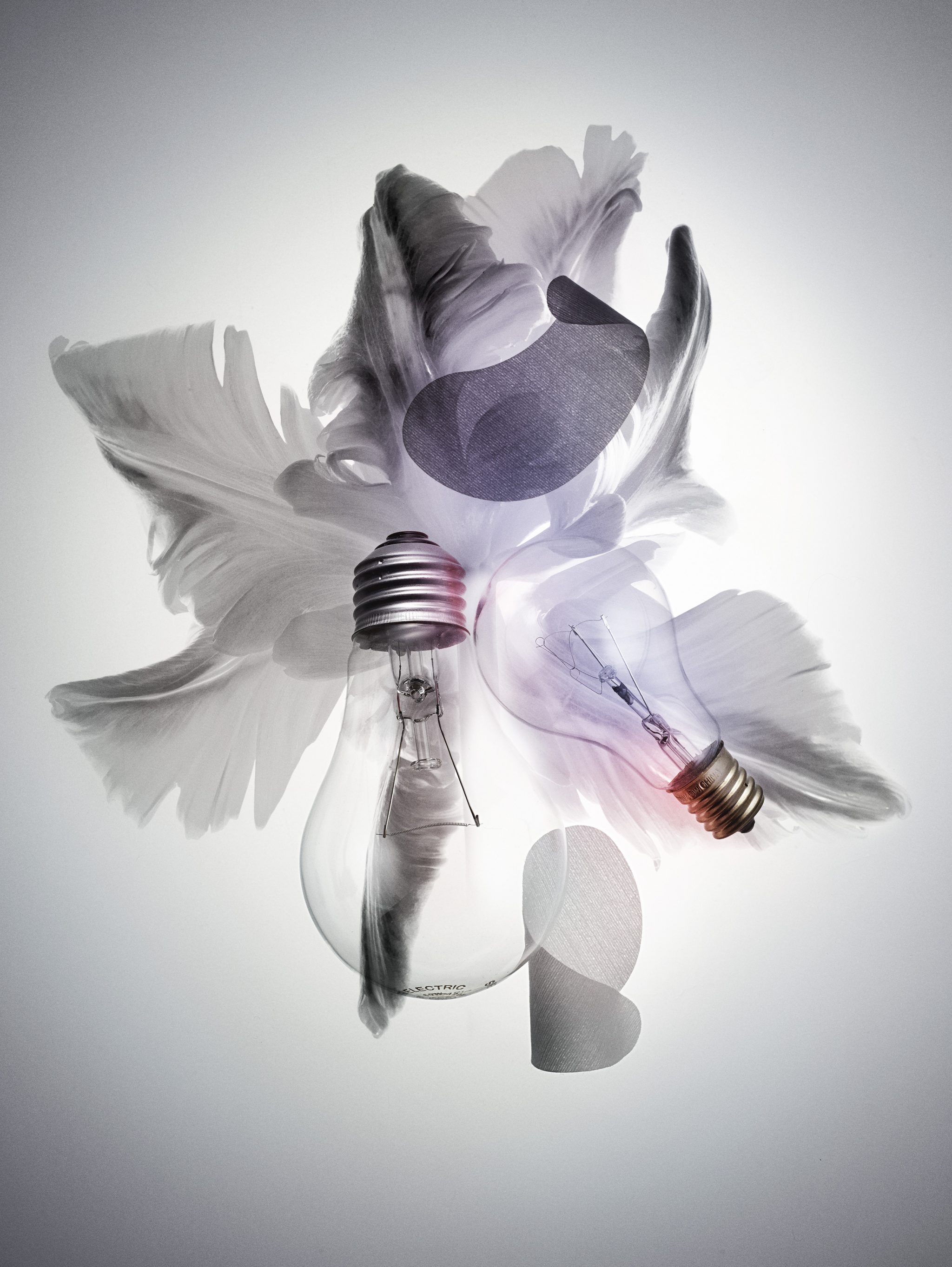  | Amica: Light Bulbs | 2