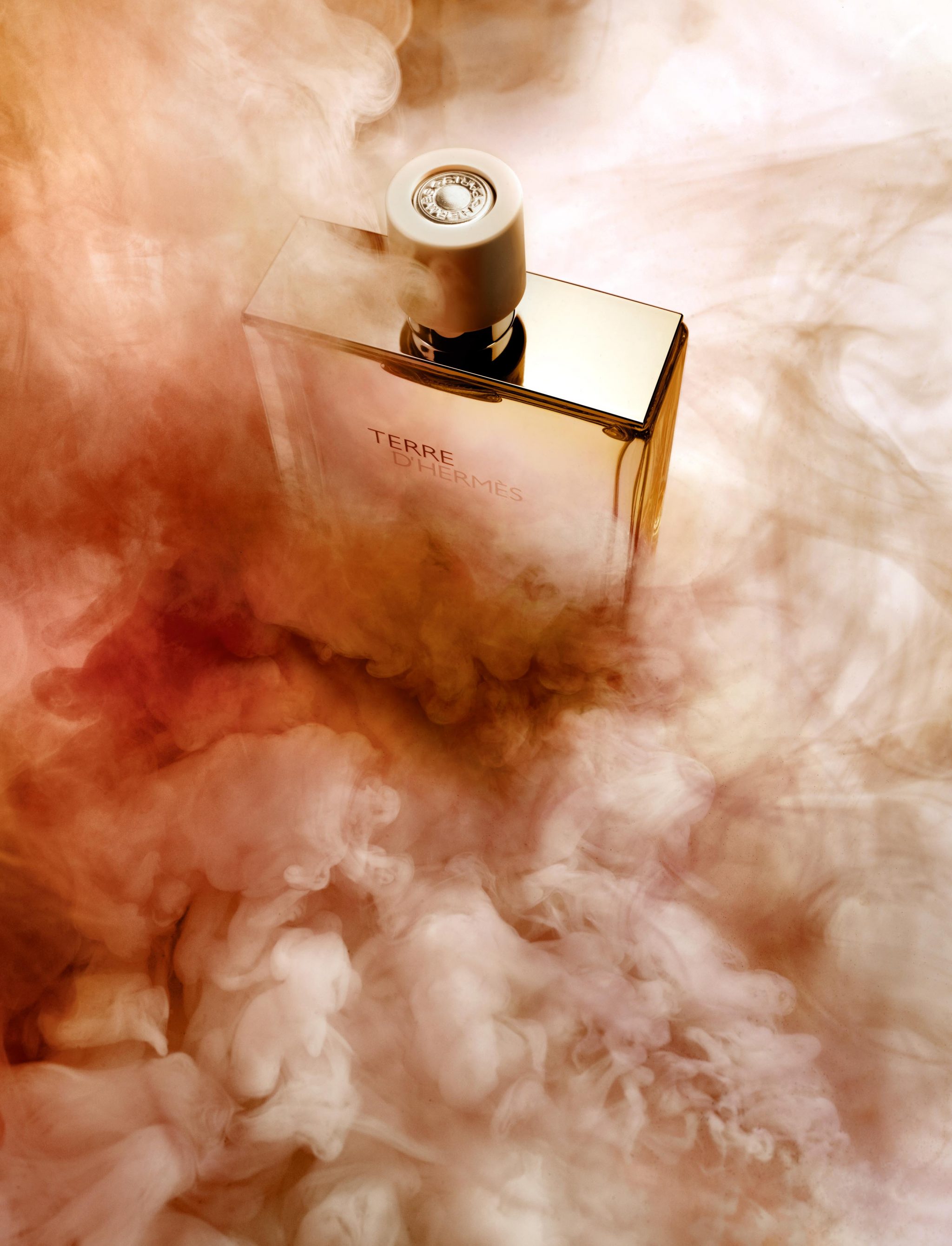  | Narcisse: Movement | 7