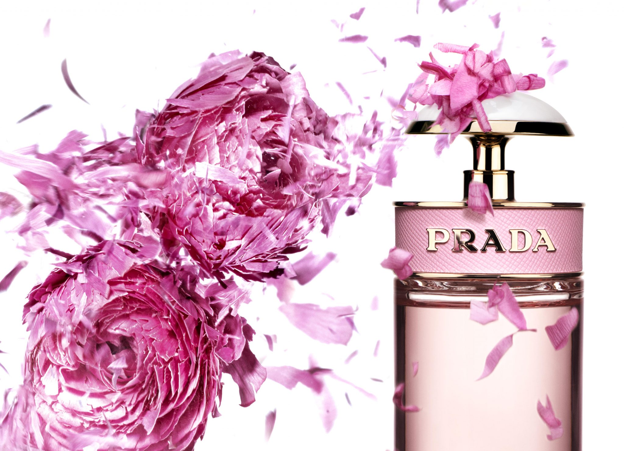 Ines Dieleman Narcisse Movement — Creative Exchange Agency