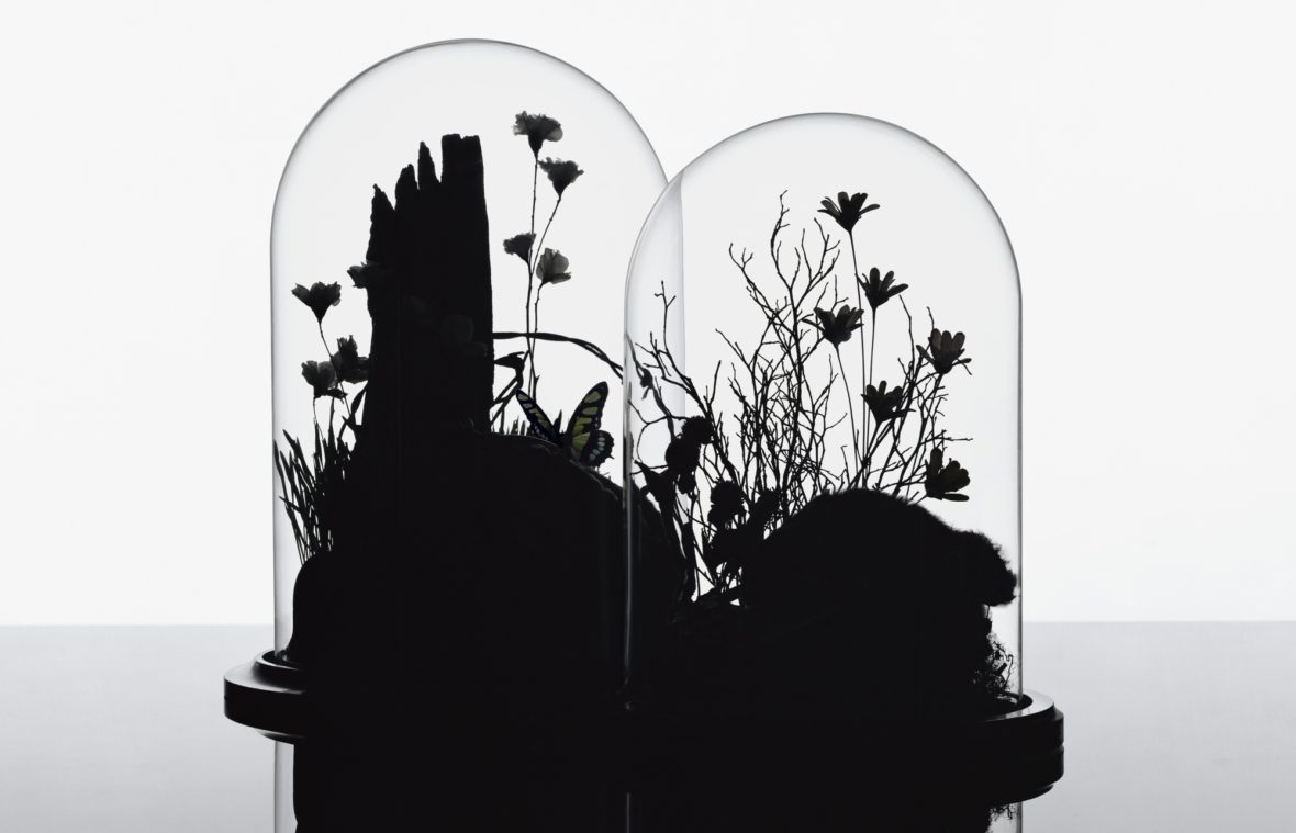 Robin Broadbent: Up Close | 1
