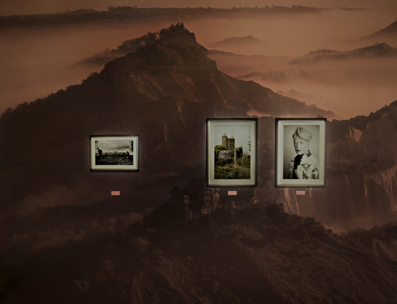 Cabinesast-of-Curiosities_1