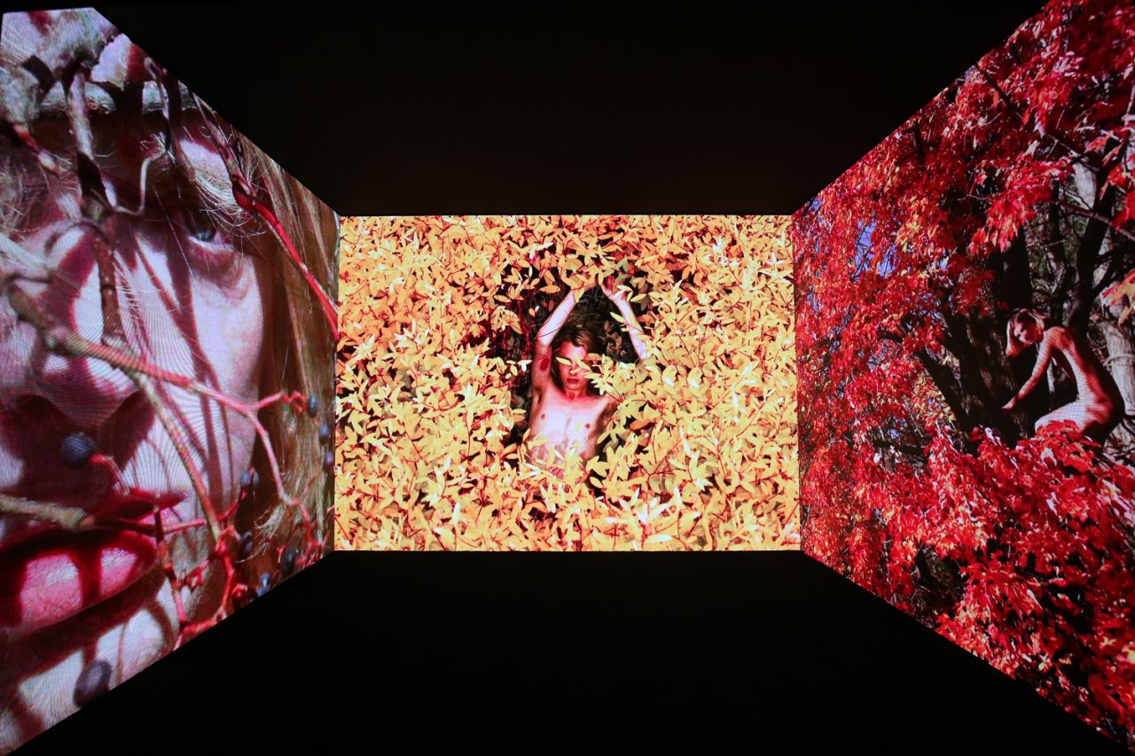 Gucci: Beijing - #Blindforlove Cinema_1