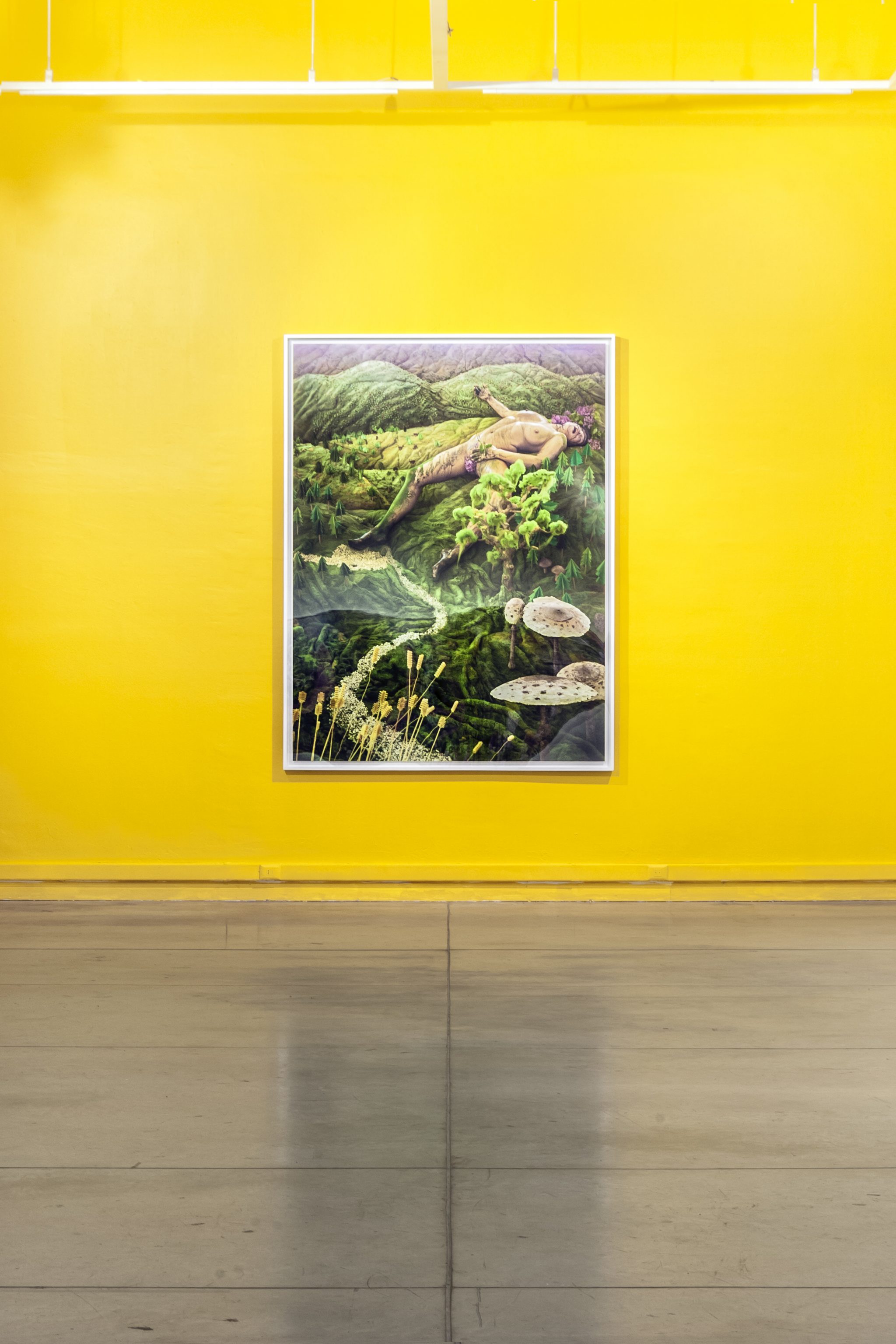 David LaChapelle | MUSEO DE ARTE CONTEMPORÁNEO, Santiago, Chile, July 20 - September 27, 2015 | 7