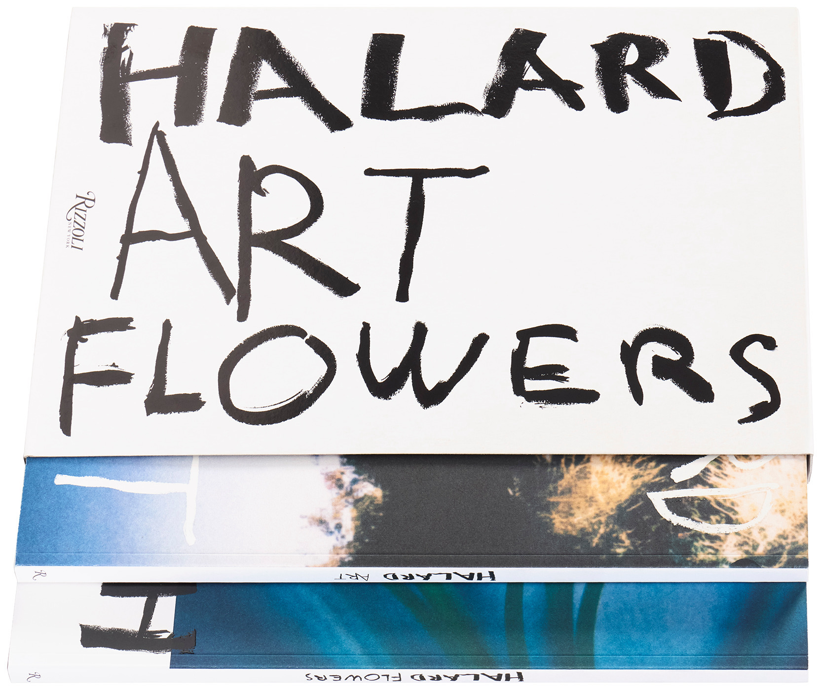 François Halard — Creative Exchange Agency