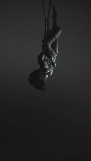 John Torres | Portraits of Lady Gaga | 2