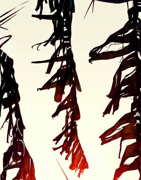 Matthew Porter’s Solo Debut at Galerie Xippas, Paris | 4