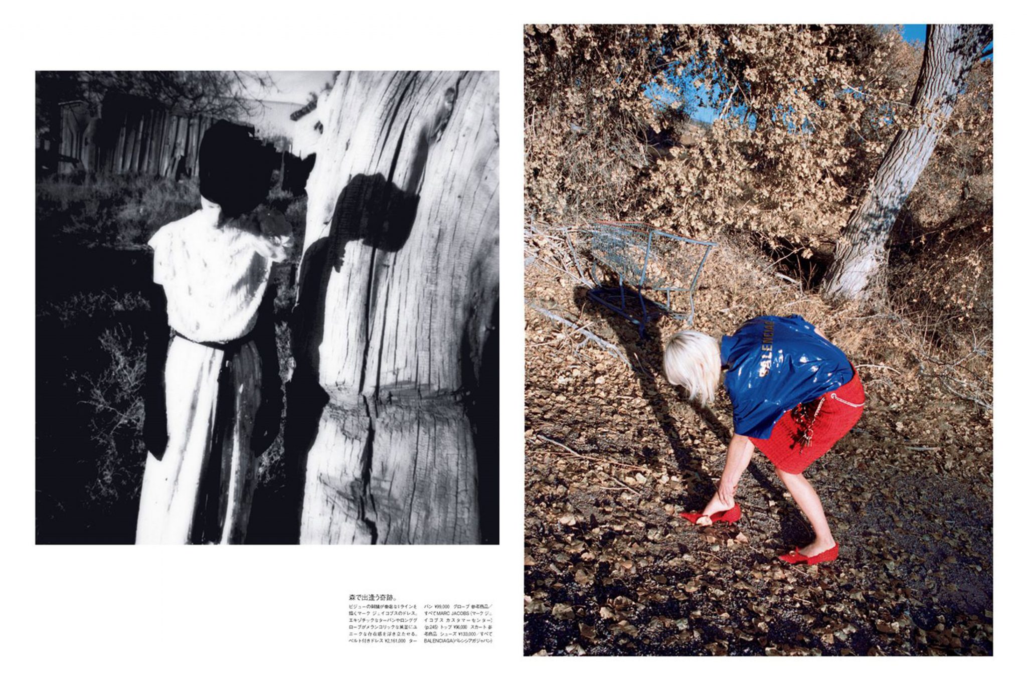 Paul Sinclaire | Vogue Japan: My Country Roots | 3
