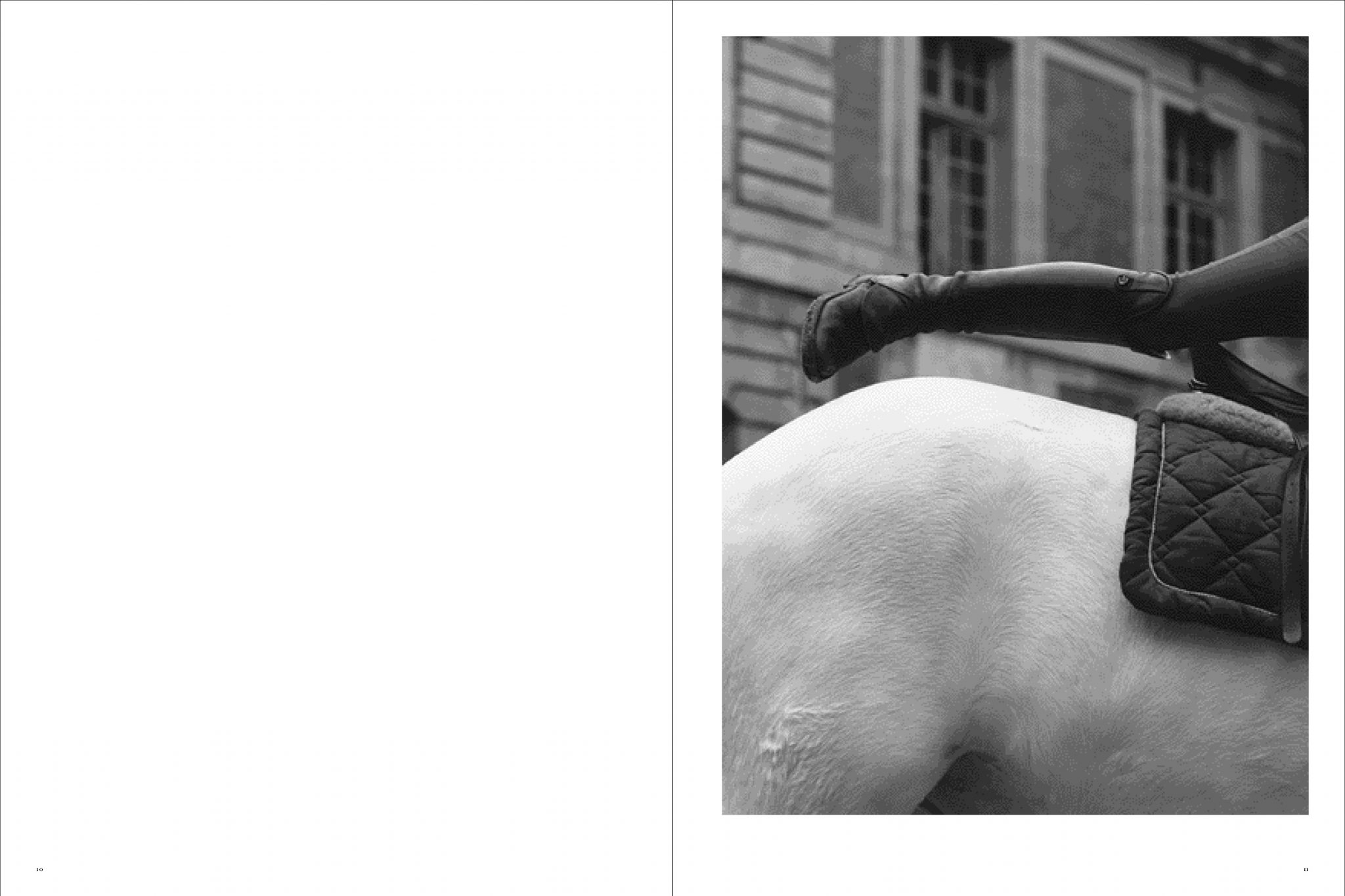 Koto Bolofo | Academie Equestre | 6