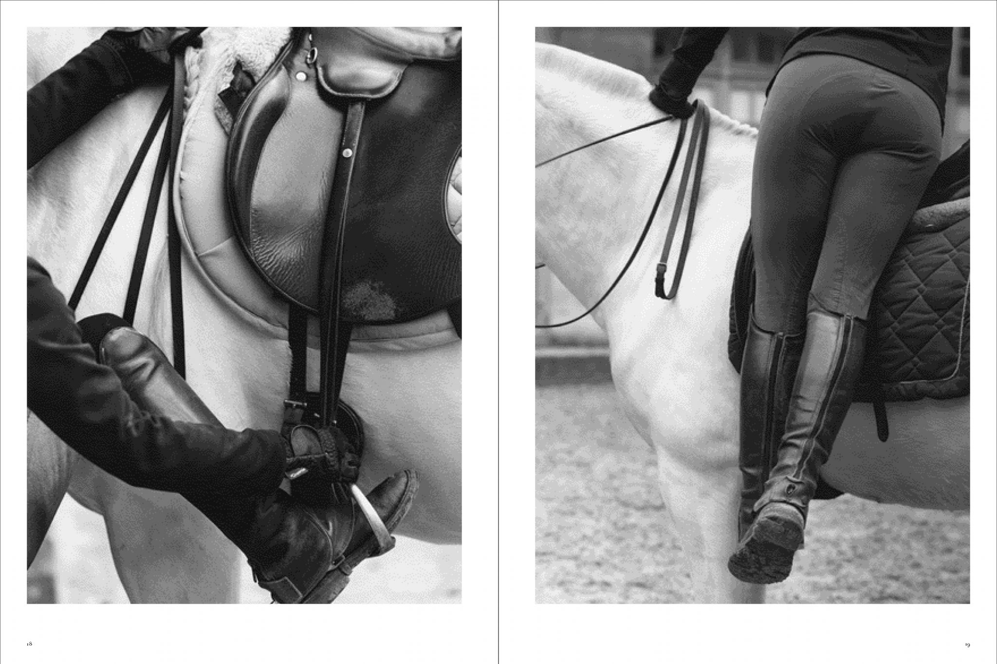 Koto Bolofo | Academie Equestre | 10