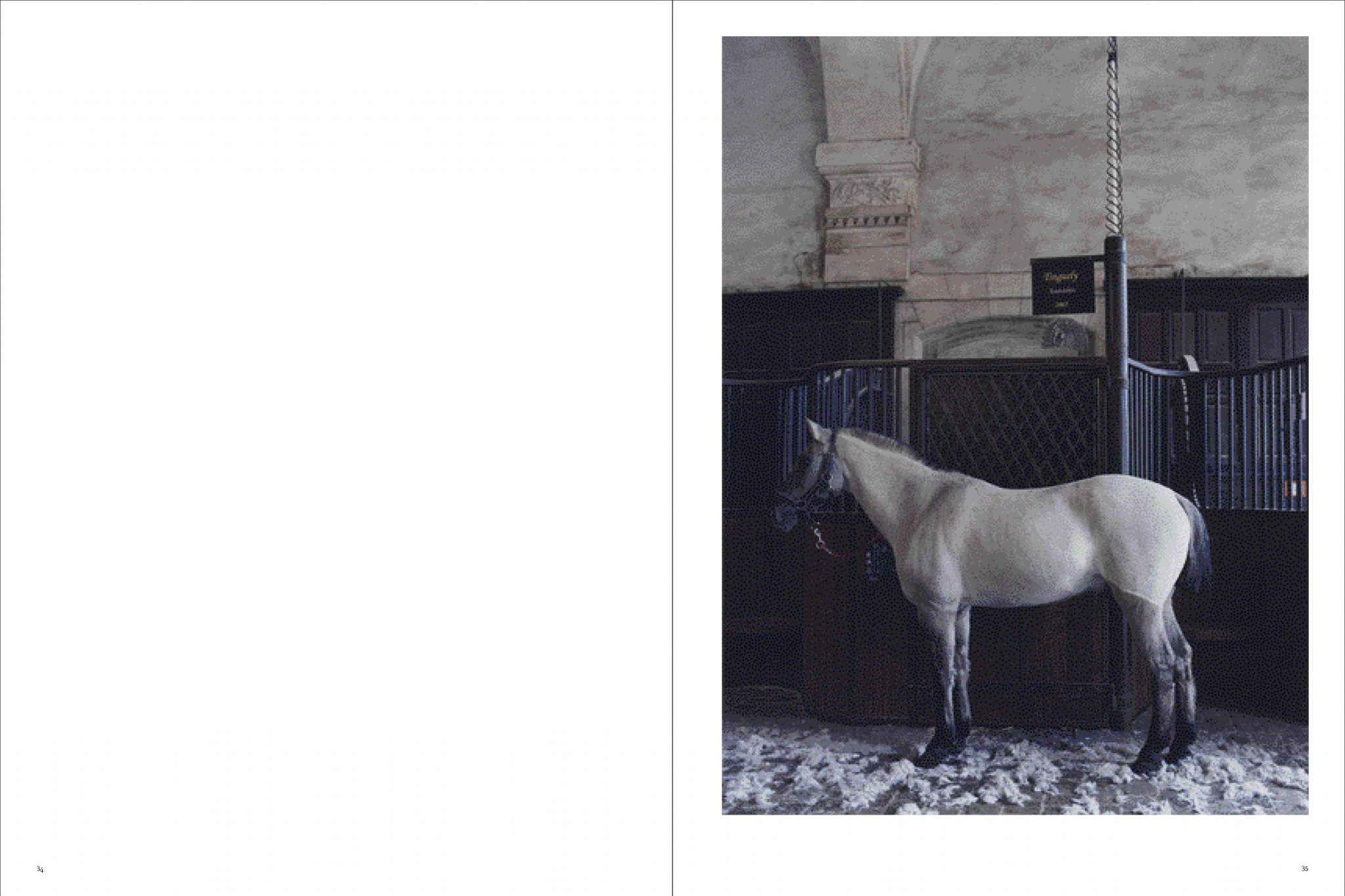 Koto Bolofo | Academie Equestre | 18