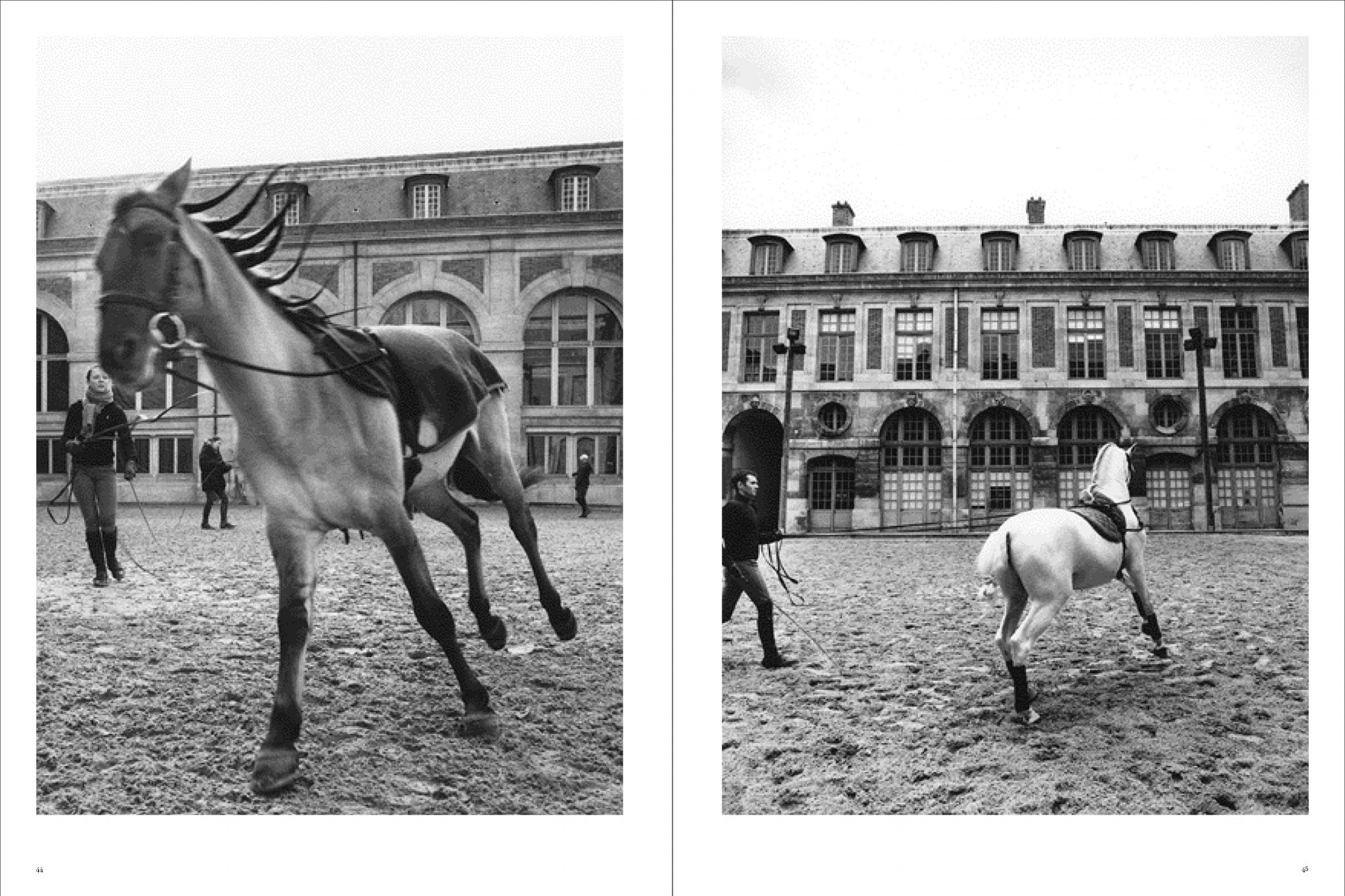 Koto Bolofo | Academie Equestre | 23