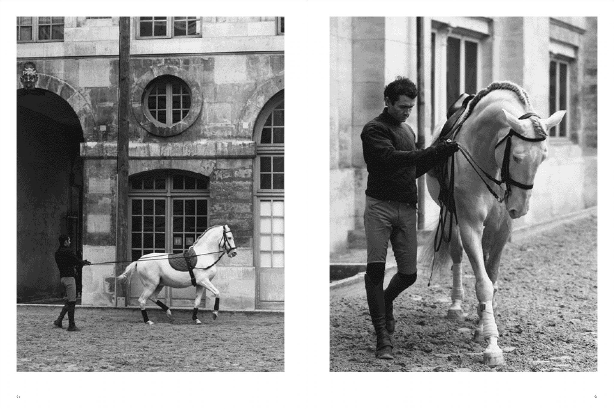Koto Bolofo | Academie Equestre | 31