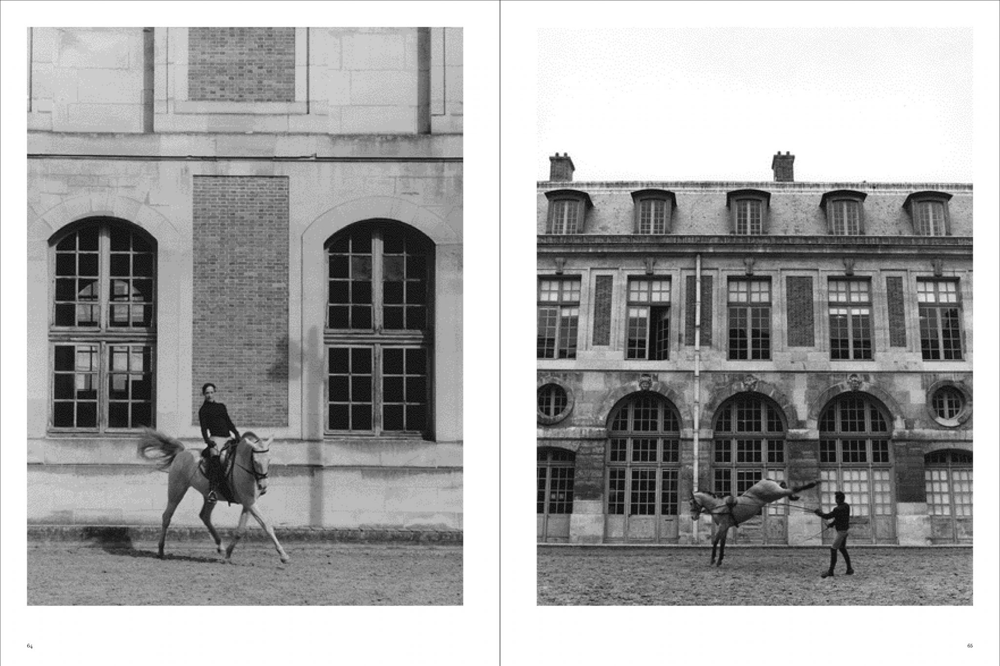 Koto Bolofo | Academie Equestre | 33