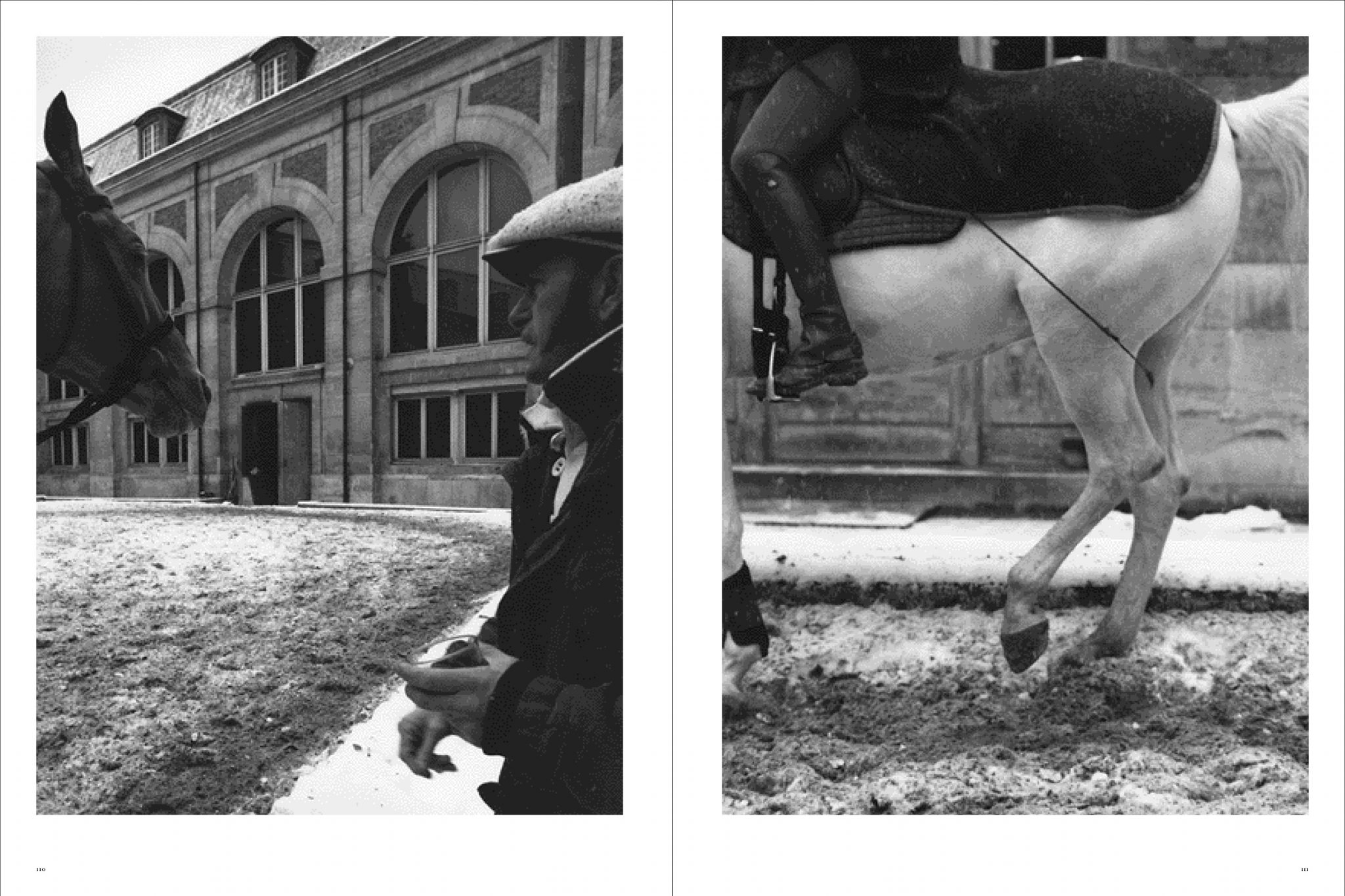 Koto Bolofo | Academie Equestre | 56