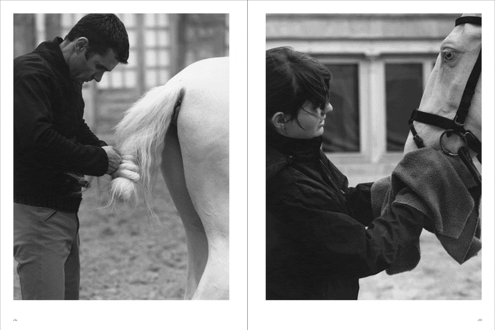 Koto Bolofo | Academie Equestre | 67