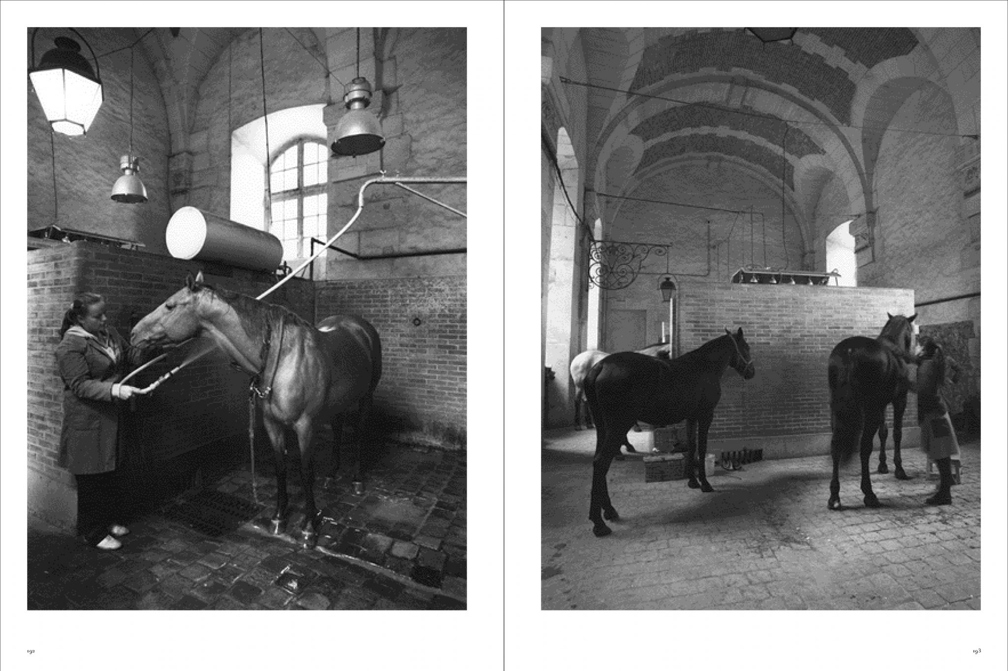 Koto Bolofo | Academie Equestre | 97