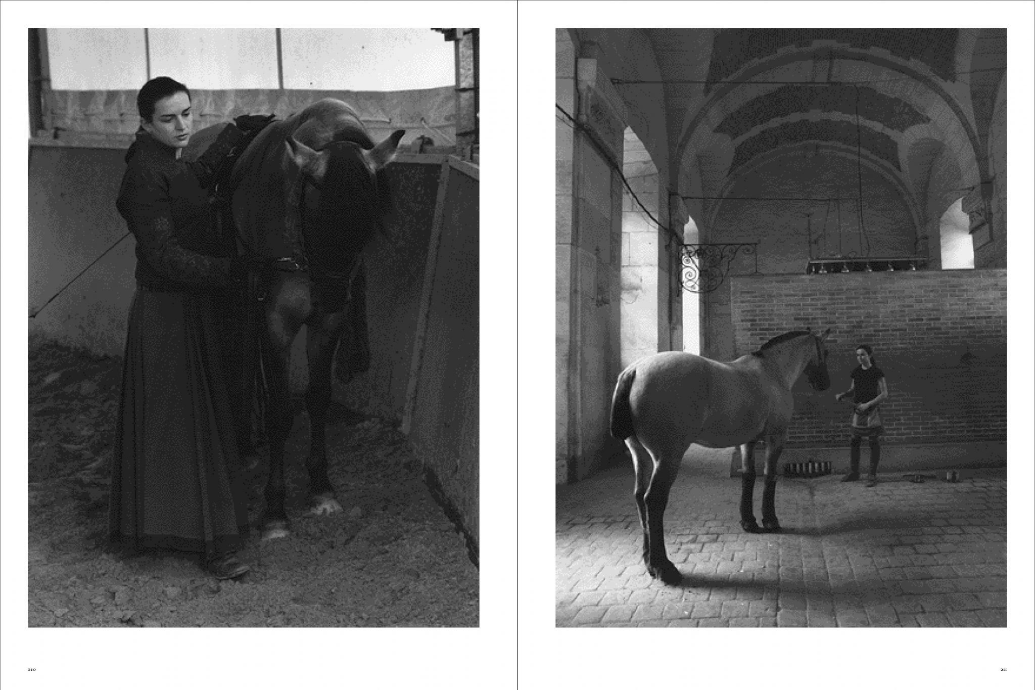 Koto Bolofo | Academie Equestre | 106