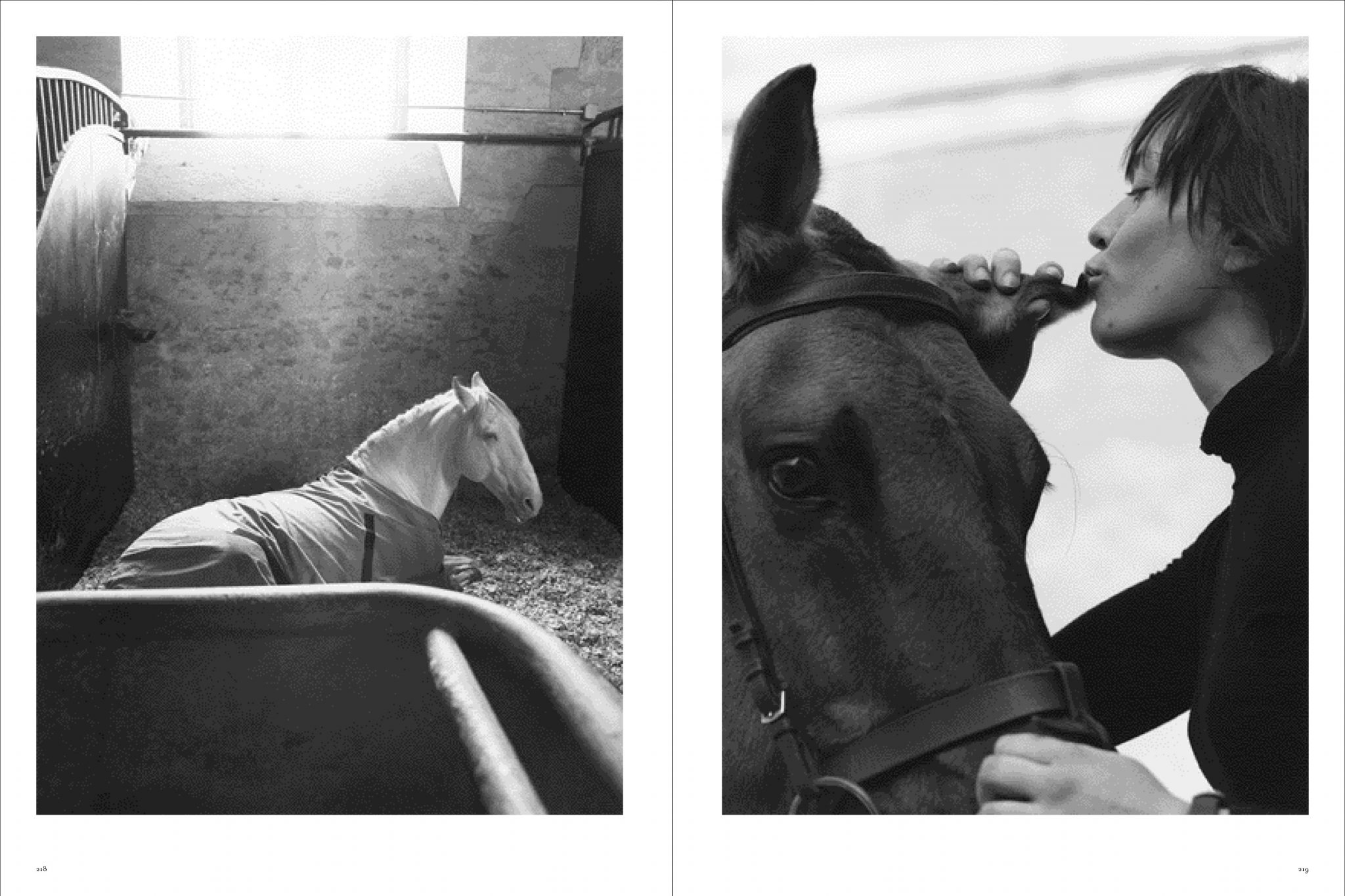 Koto Bolofo | Academie Equestre | 110