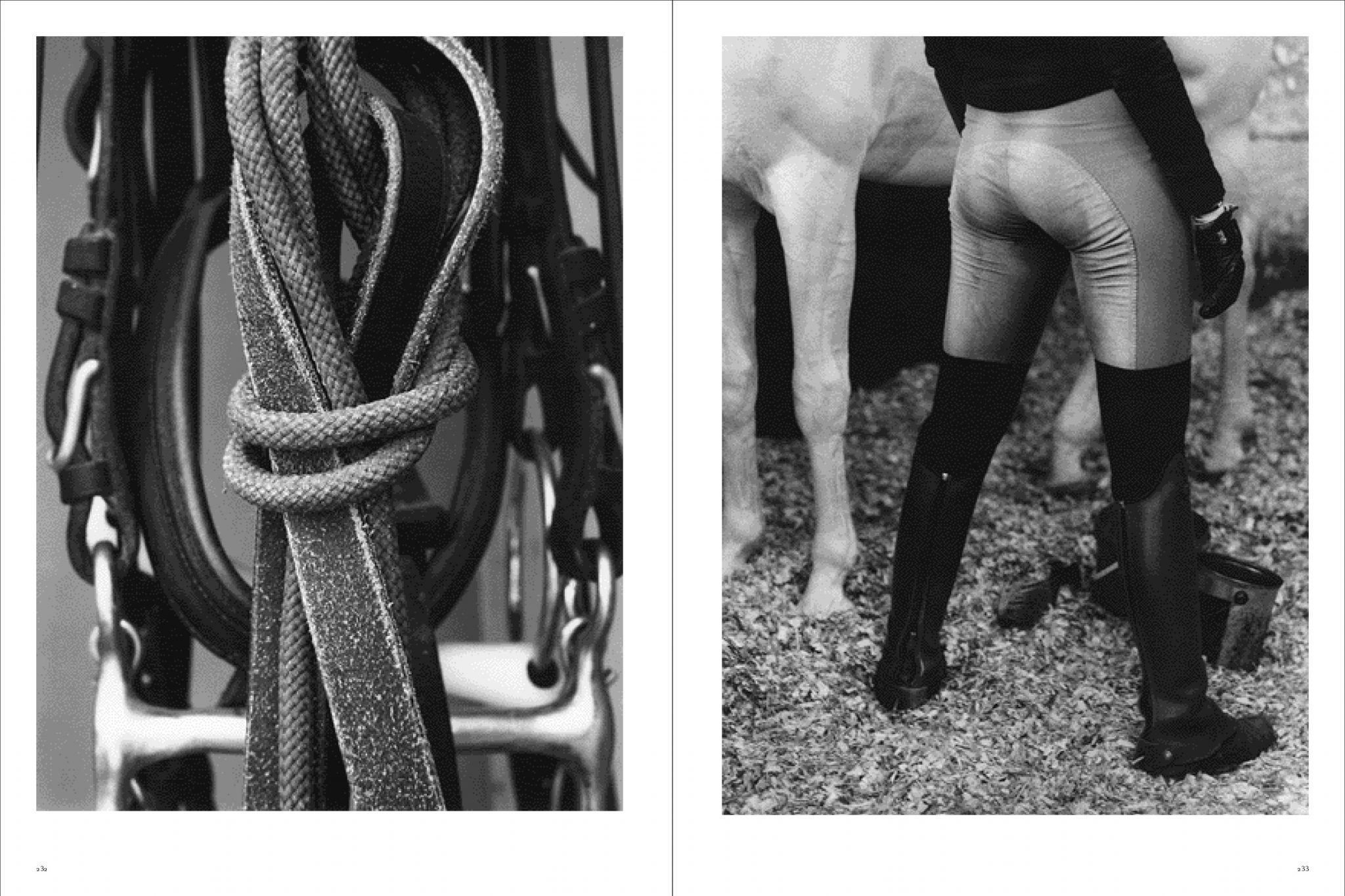 Koto Bolofo | Academie Equestre | 117