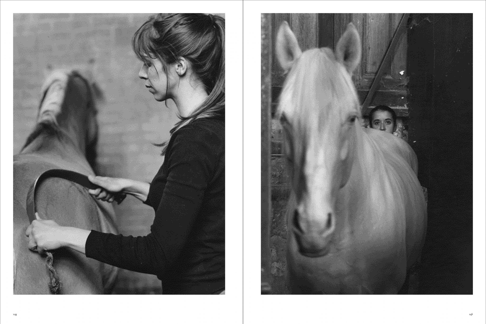 Koto Bolofo | Academie Equestre | 123