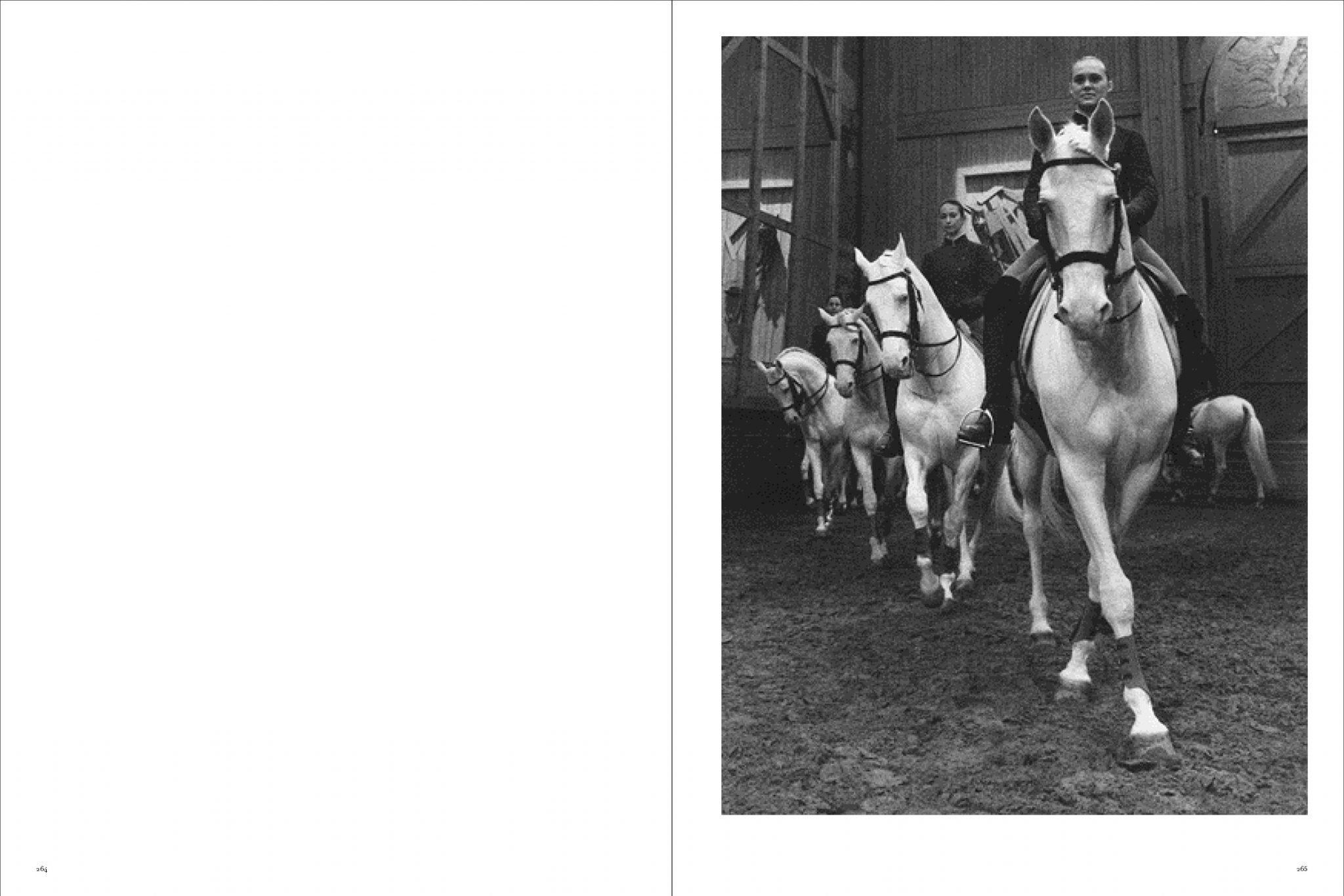 Koto Bolofo | Academie Equestre | 133