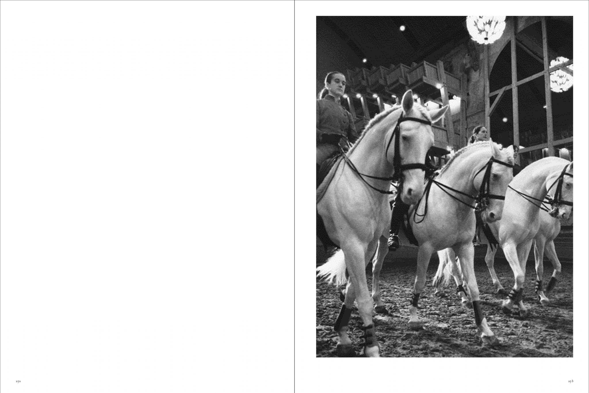 Koto Bolofo | Academie Equestre | 137