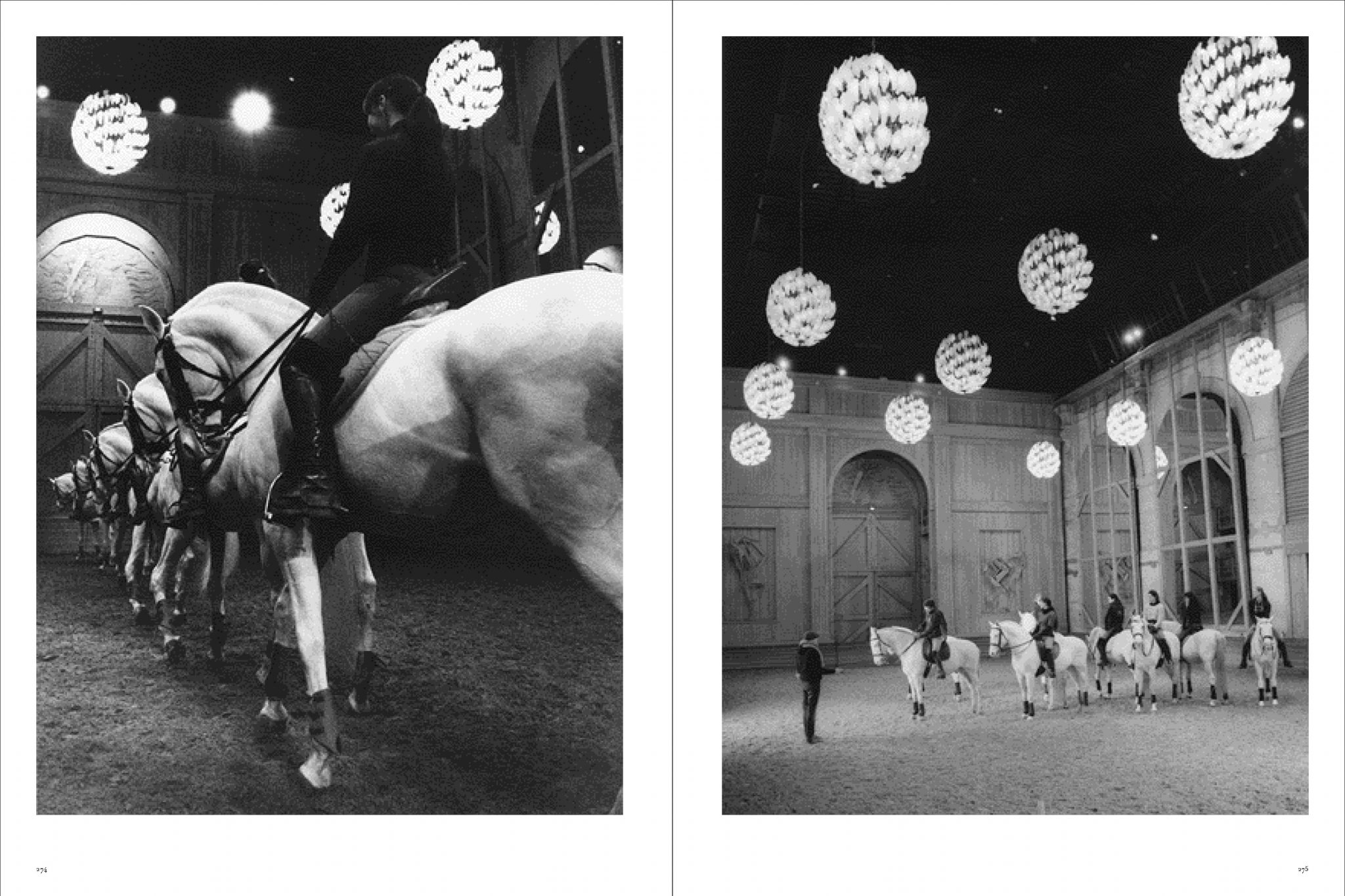 Koto Bolofo | Academie Equestre | 138