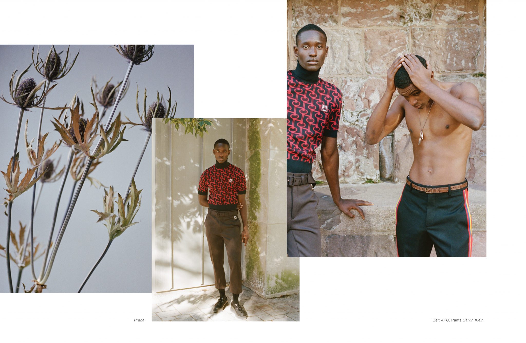 Paul Sinclaire | At Large Magazine: Wilted by the Sun | 4