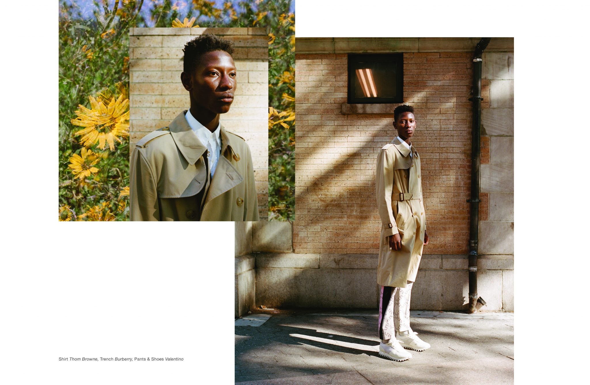Paul Sinclaire | At Large Magazine: Wilted by the Sun | 5