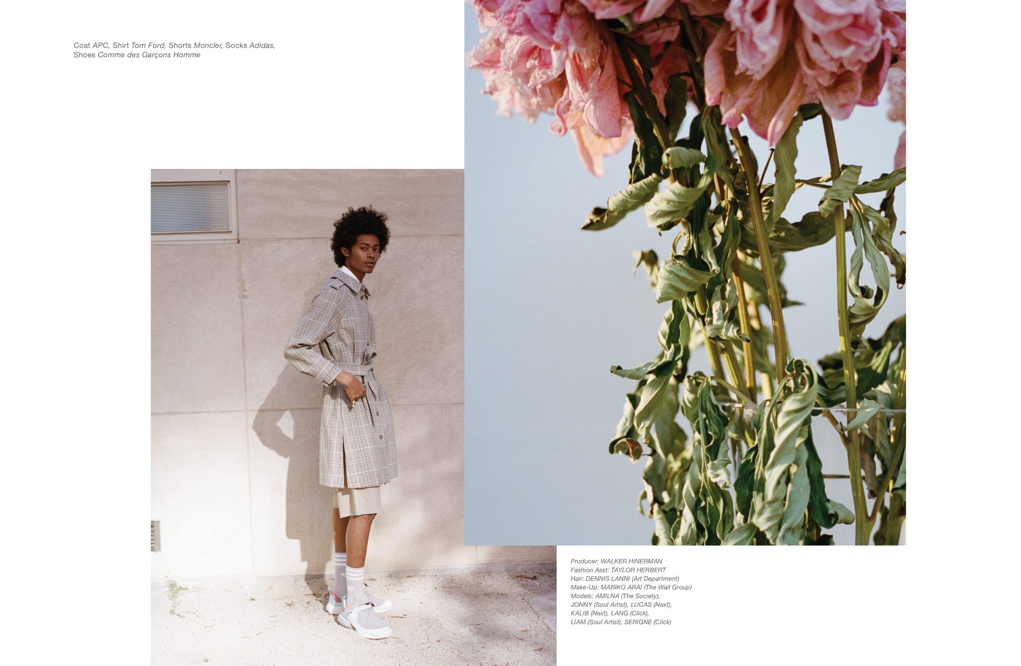 Paul Sinclaire | At Large Magazine: Wilted by the Sun | 6