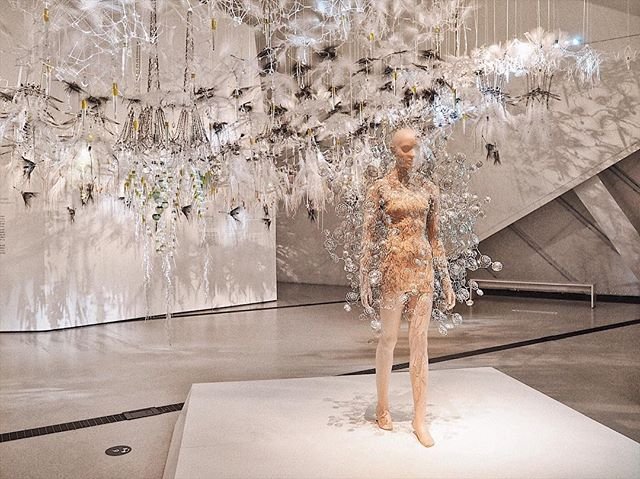 Iris Van Herpen | Royal Ontario Museum: Transforming Fashion | 5
