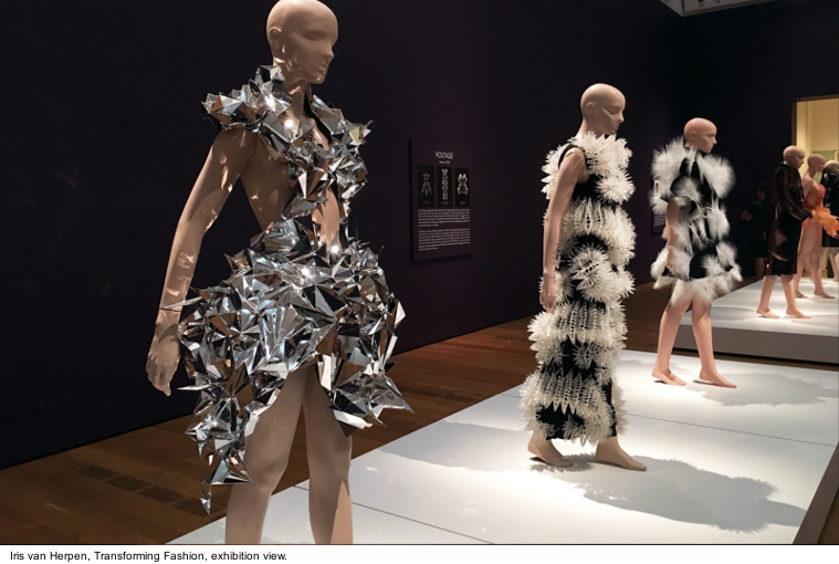 Iris Van Herpen | Dallas Museum of Art: Transforming Fashion | 7